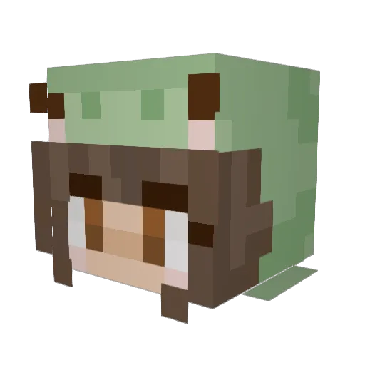 DiScO_WaFFLEZ Minecraft avatar head, 3D render