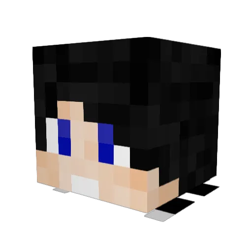 DiTriXx Minecraft avatar head, 3D render