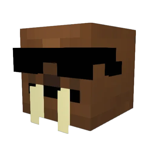 DiWalrus Minecraft avatar head, 3D render