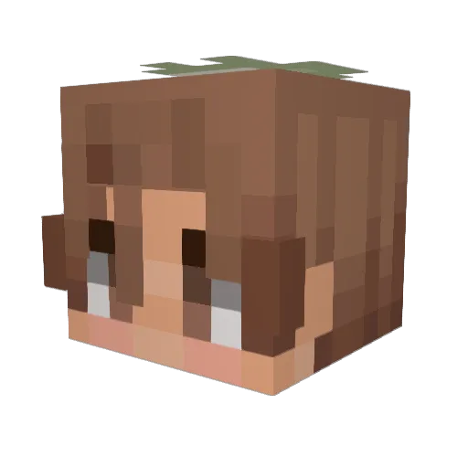 DiWitherSkull Minecraft avatar head, 3D render