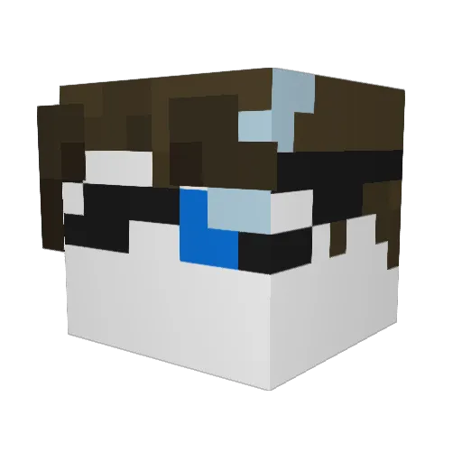 DiZ00 Minecraft avatar head, 3D render