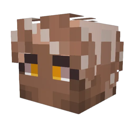 Di_Di__ Minecraft avatar head, 3D render