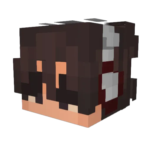Di_Spencer Minecraft avatar head, 3D render
