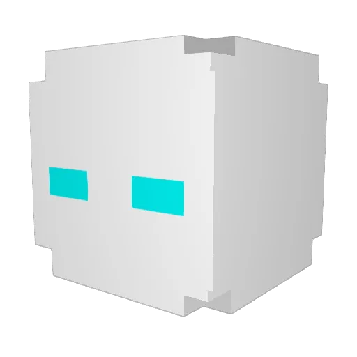 DiaDolphin20 Minecraft avatar head, 3D render
