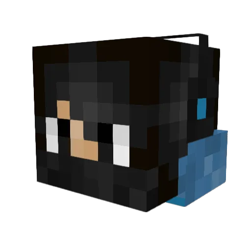 DiaNinja Minecraft avatar head, 3D render