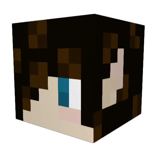 Diabetes_Chan Minecraft avatar head, 3D render