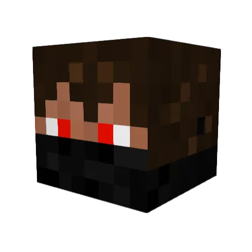 DiabeticNinja Minecraft avatar head, 3D render