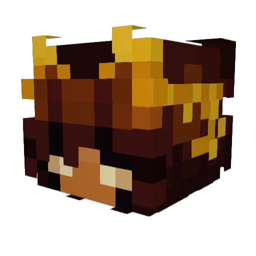 Diabetic_Troglad Minecraft avatar head, 3D render
