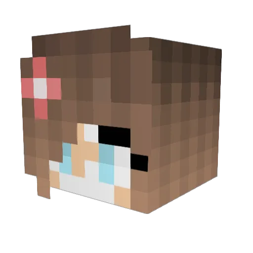 Diabetus1460 Minecraft avatar head, 3D render