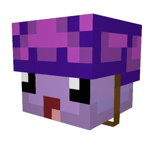 Diabl0Dr Minecraft avatar head, 3D render