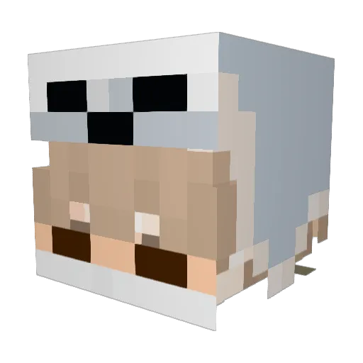 DiabloKiki Minecraft avatar head, 3D render