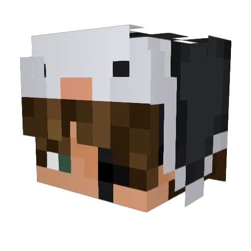 DiabolicSouI Minecraft avatar head, 3D render