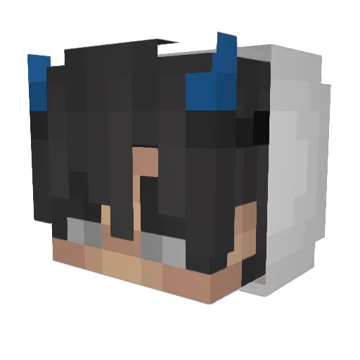 Diaconu12 Minecraft avatar head, 3D render