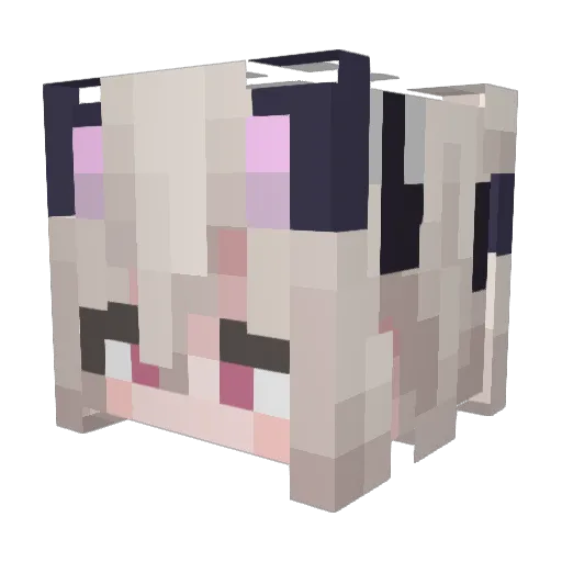 Diadem_Joy Minecraft avatar head, 3D render