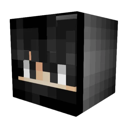 Diagnostics Minecraft avatar head, 3D render