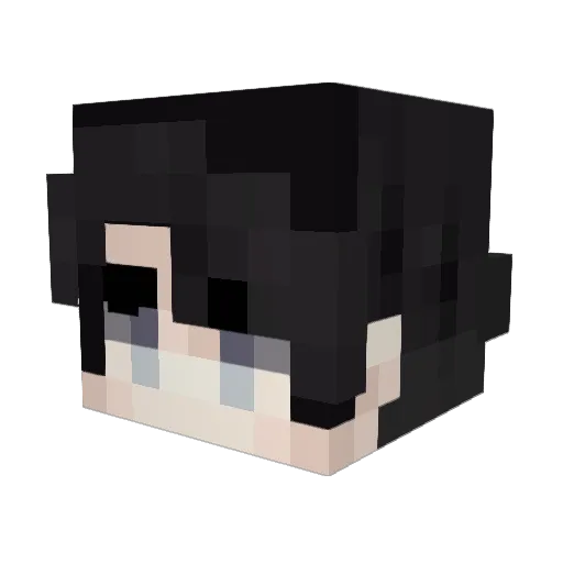 DiagonalOcean Minecraft avatar head, 3D render