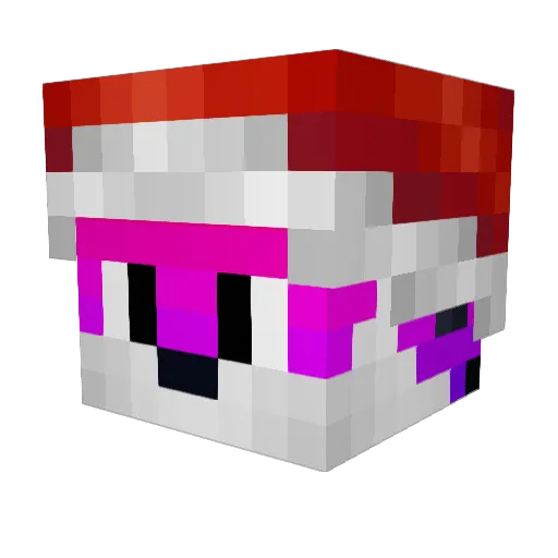 Diakon1337 Minecraft avatar head, 3D render