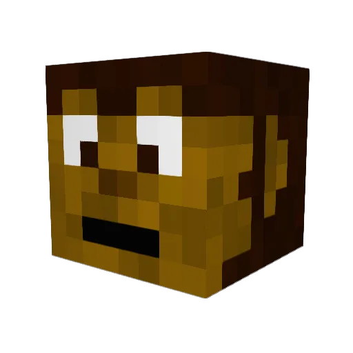Dialam Minecraft avatar head, 3D render