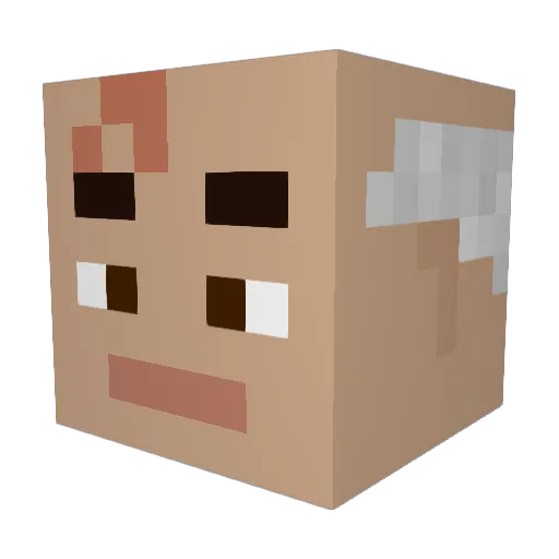 Dialent_ Minecraft avatar head, 3D render