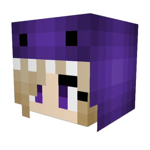 Dialups Minecraft avatar head, 3D render
