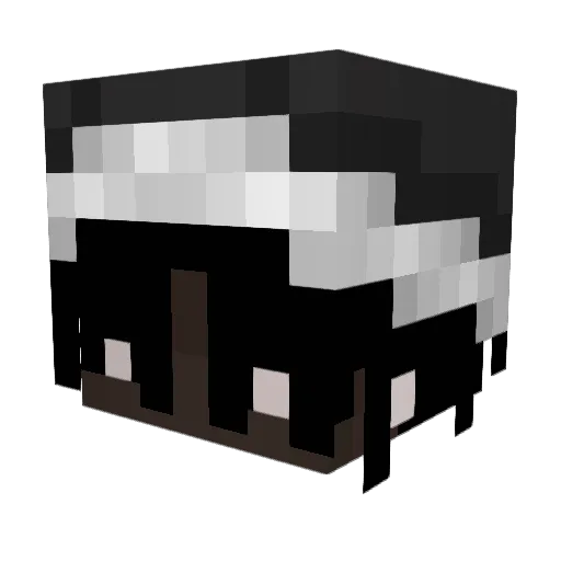 DiamencikYT Minecraft avatar head, 3D render