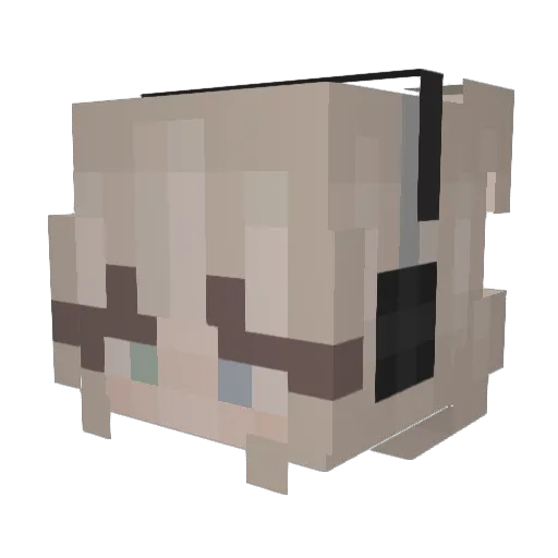 Diamond1247 Minecraft avatar head, 3D render