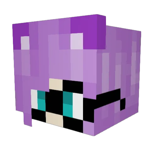 DiamondCooki3 Minecraft avatar head, 3D render