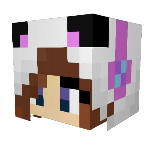 DiamondDemon591 Minecraft avatar head, 3D render