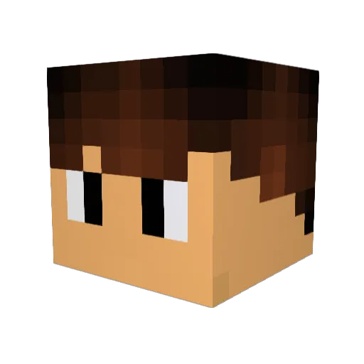 DiamondDinDin Minecraft avatar head, 3D render