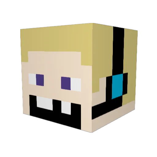 DiamondDucks1207 Minecraft avatar head, 3D render