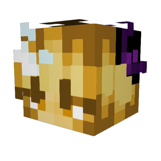 DiamondFear04 Minecraft avatar head, 3D render