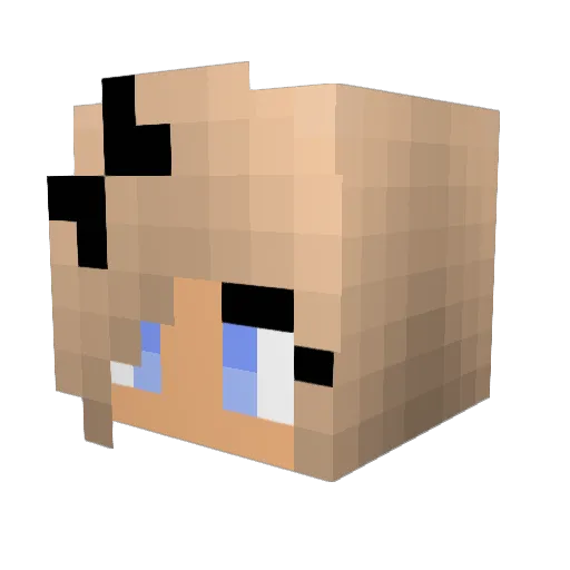 DiamondGamerTTV Minecraft avatar head, 3D render