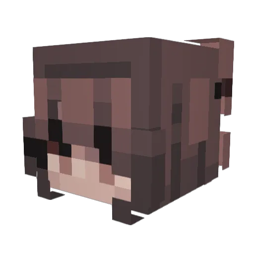 DiamondHackerman Minecraft avatar head, 3D render