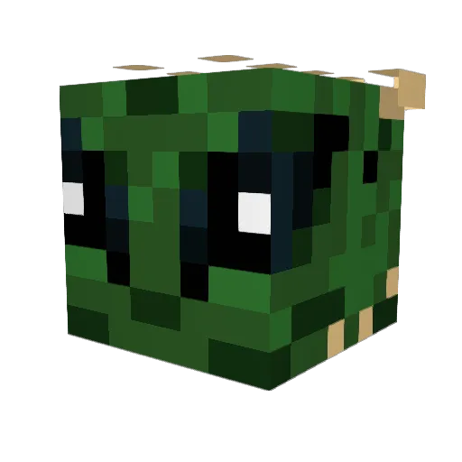 DiamondJimbot Minecraft avatar head, 3D render