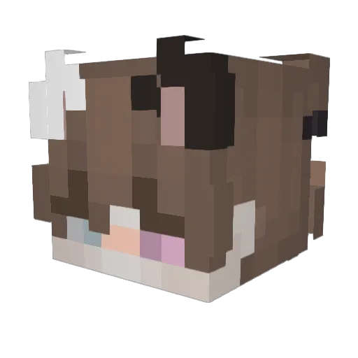 DiamondKing689 Minecraft avatar head, 3D render