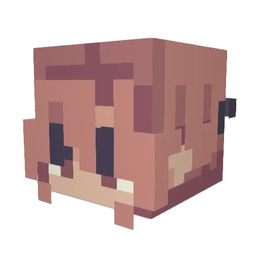 DiamondLirt52 Minecraft avatar head, 3D render