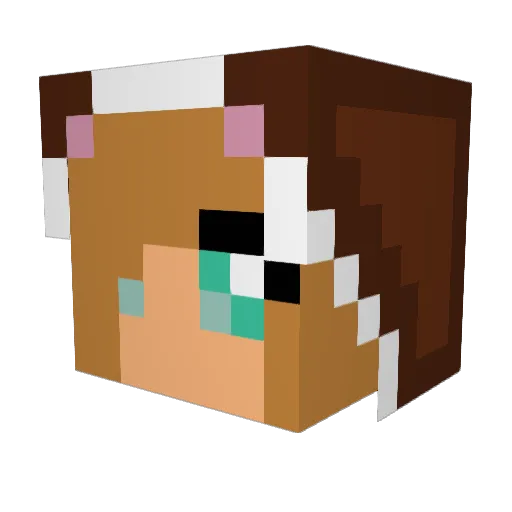 DiamondLover643 Minecraft avatar head, 3D render
