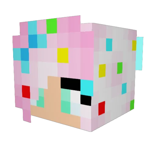 DiamondMiner1210 Minecraft avatar head, 3D render