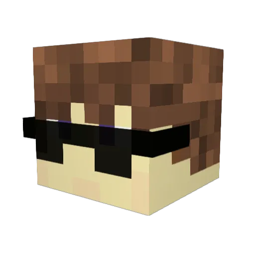 DiamondMiner1310 Minecraft avatar head, 3D render