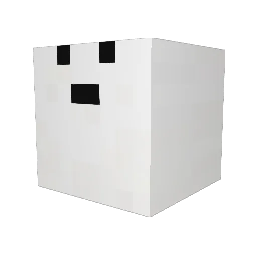 DiamondMiner55 Minecraft avatar head, 3D render