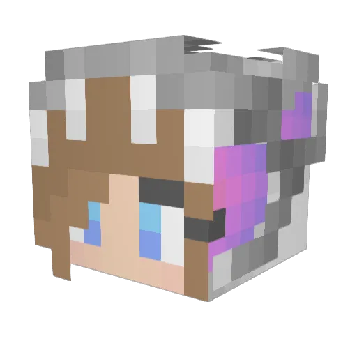 DiamondOMGwolf Minecraft avatar head, 3D render