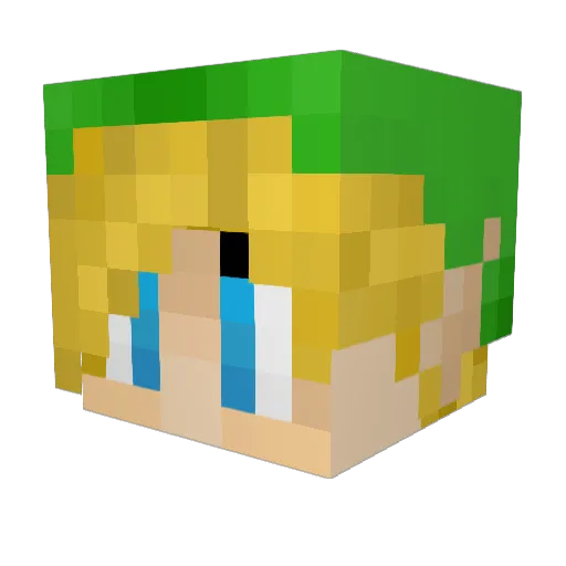 DiamondRider18 Minecraft avatar head, 3D render