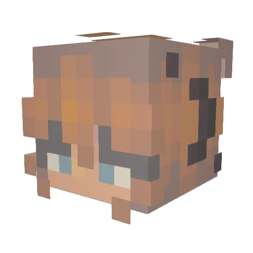 DiamondRobyn Minecraft avatar head, 3D render