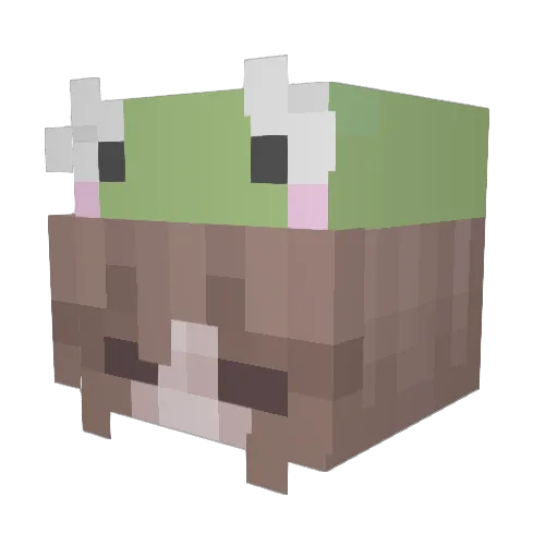 DiamondSteel5800 Minecraft avatar head, 3D render
