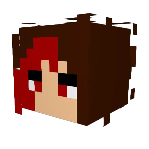 DiamondTenebris Minecraft avatar head, 3D render