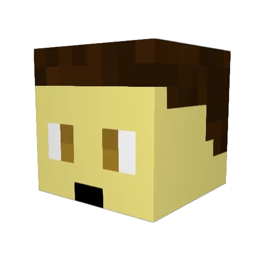 DiamondTiger2006 Minecraft avatar head, 3D render