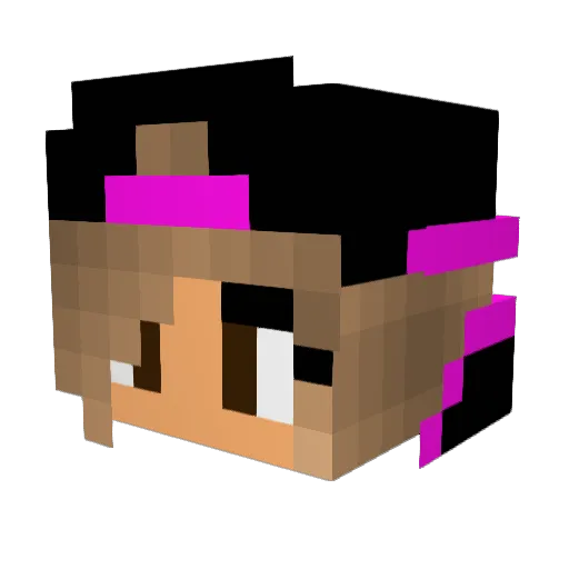 DiamondTulip03 Minecraft avatar head, 3D render