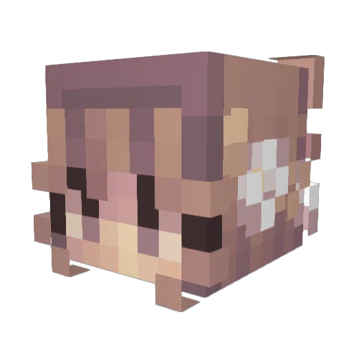 DiamondTurtle75 Minecraft avatar head, 3D render