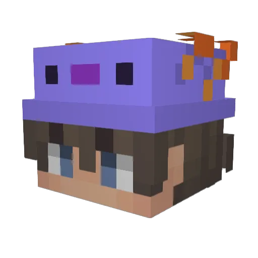 DiamondWolf4782 Minecraft avatar head, 3D render