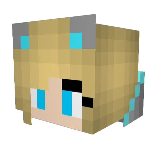 Diamond_1234 Minecraft avatar head, 3D render